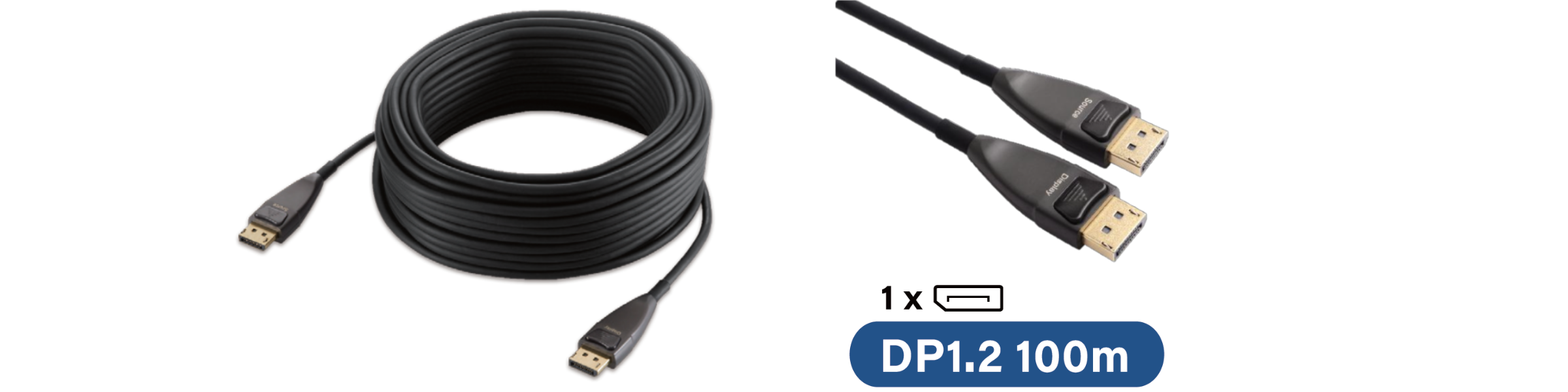 LAN-DP12H LAN-DP12H